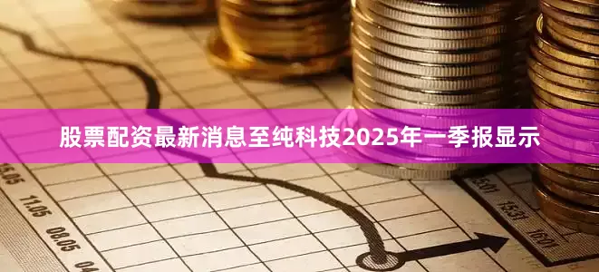 股票配资最新消息至纯科技2025年一季报显示