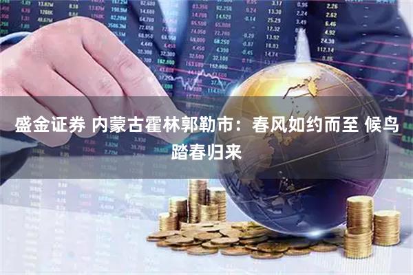 盛金证券 内蒙古霍林郭勒市：春风如约而至 候鸟踏春归来