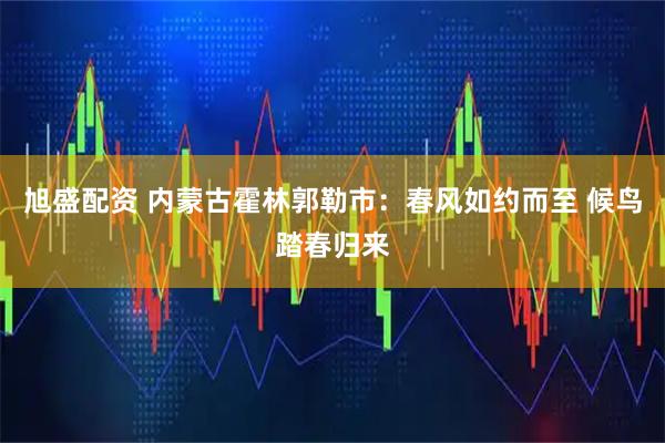 旭盛配资 内蒙古霍林郭勒市：春风如约而至 候鸟踏春归来