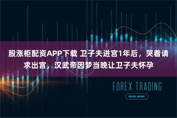股涨柜配资APP下载 卫子夫进宫1年后，哭着请求出宫，汉武帝因梦当晚让卫子夫怀孕