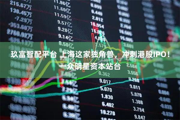 玖富智配平台 上海这家独角兽，冲刺港股IPO！一众明星资本站台