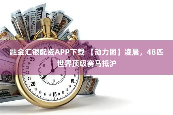 融金汇银配资APP下载 【动力图】凌晨，48匹世界顶级赛马抵沪